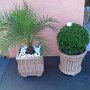 decoracao (1)